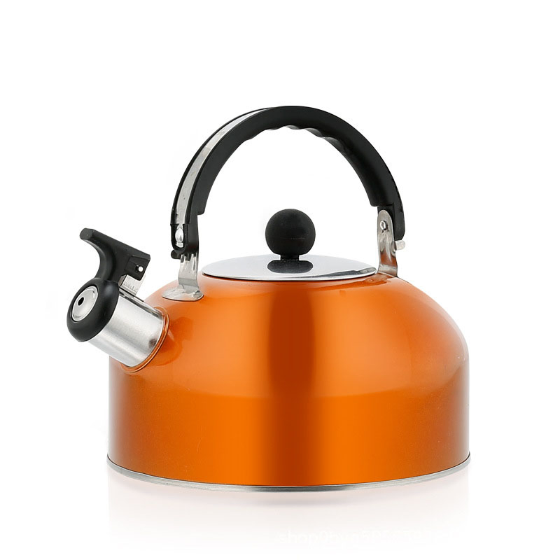 Stainless Steel Flat Bottom 3L Large Capacity Whistle Kettle