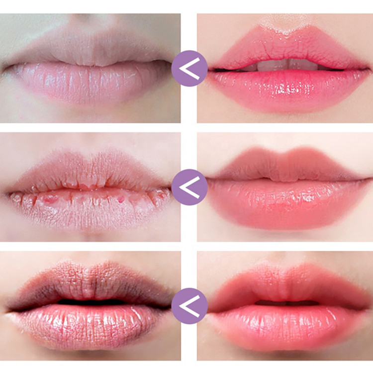 Custom Lavender Moisturizing Repair Lip Balm and Exfoliating Lip Mask