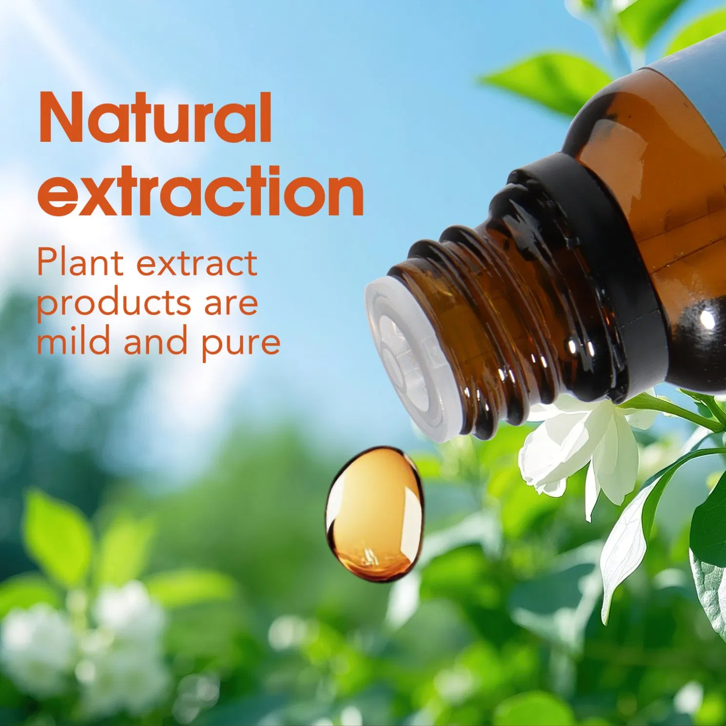Premium Natural Pure Essential Oil Extractor Plant Body Skincare Moisturization