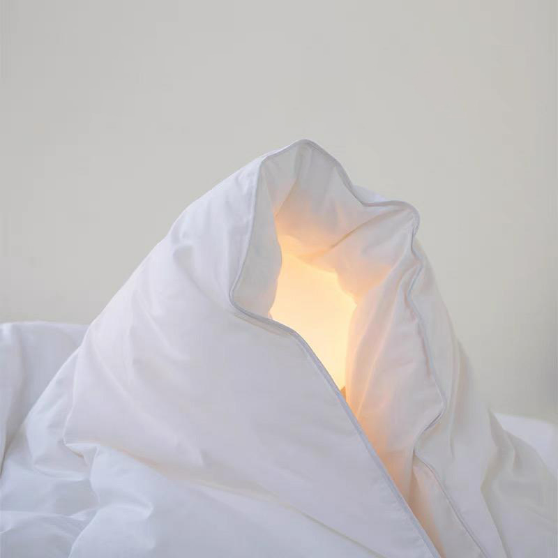 Custom Logo Hot Sale Microfiber Hotel Comforter Soft White Quilt Duvet