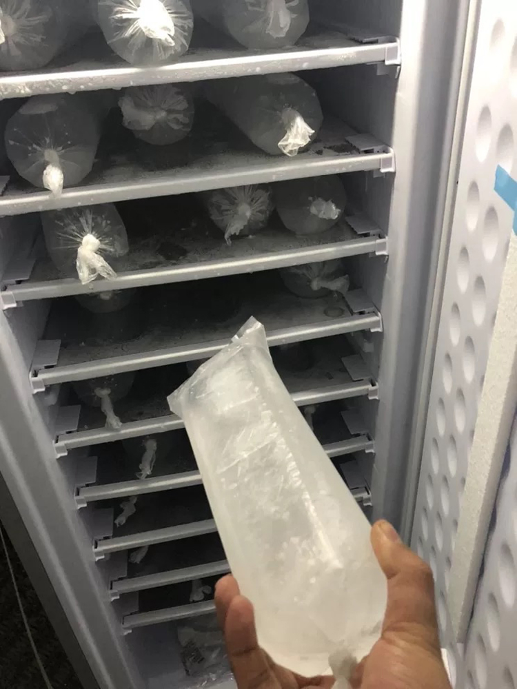 DC 24V Upright Ice Making Machine Bd-198 7 Layers Ice Block Direct Cooling Transparent Ice Commercial