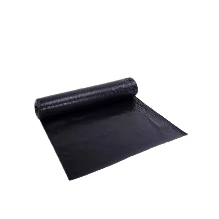 Manto Asfaltico Poliester Sbs APP Bitumen Roofing Polymer Waterproof Membrane