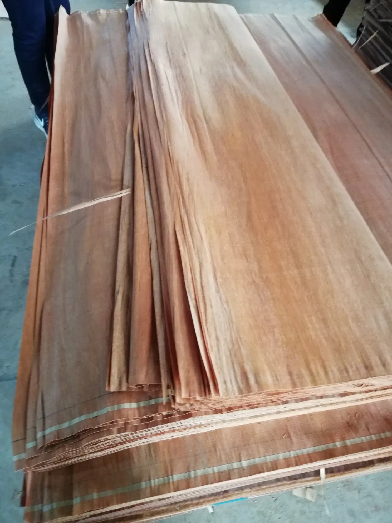Factory-Natural Veneer Plb, PA and Bur Veneer in 0.25mm