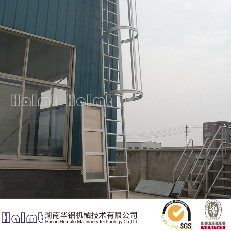 Single Section Aluminum Fixed Step Ladder for Building