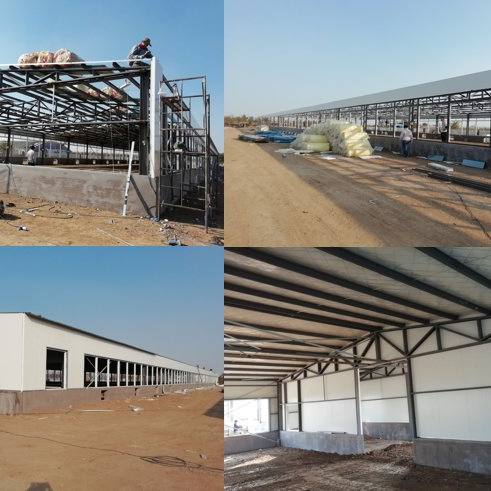 Environmentally Friendly High-Yield Automatic Large Farm Feeding System Equipment