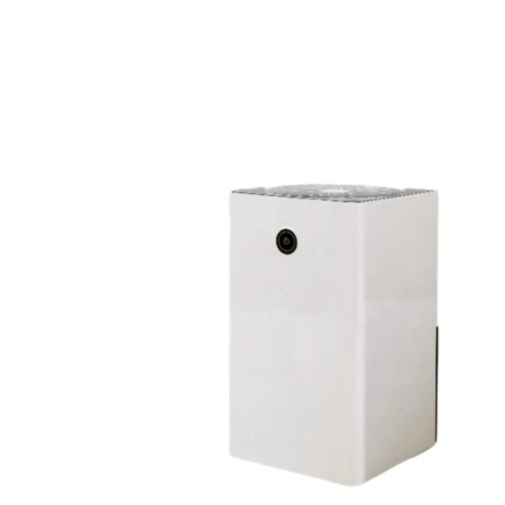 Hot Sale Home Silent Dehumidifier Cross-Border Small Bathroom Dehumidifier