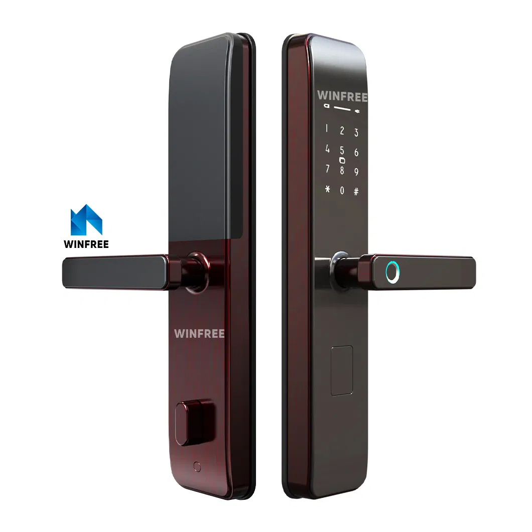 Fashion Design Security Door Electronic Fingerprint Digital Smart Door Locks for Doors