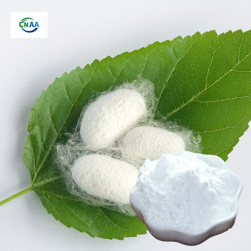 Silk Amino Acid Benefits for Skin Cosmetic Grade White Powder