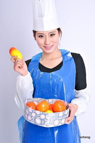 Disposable Waterproof PE Sleeve Covers