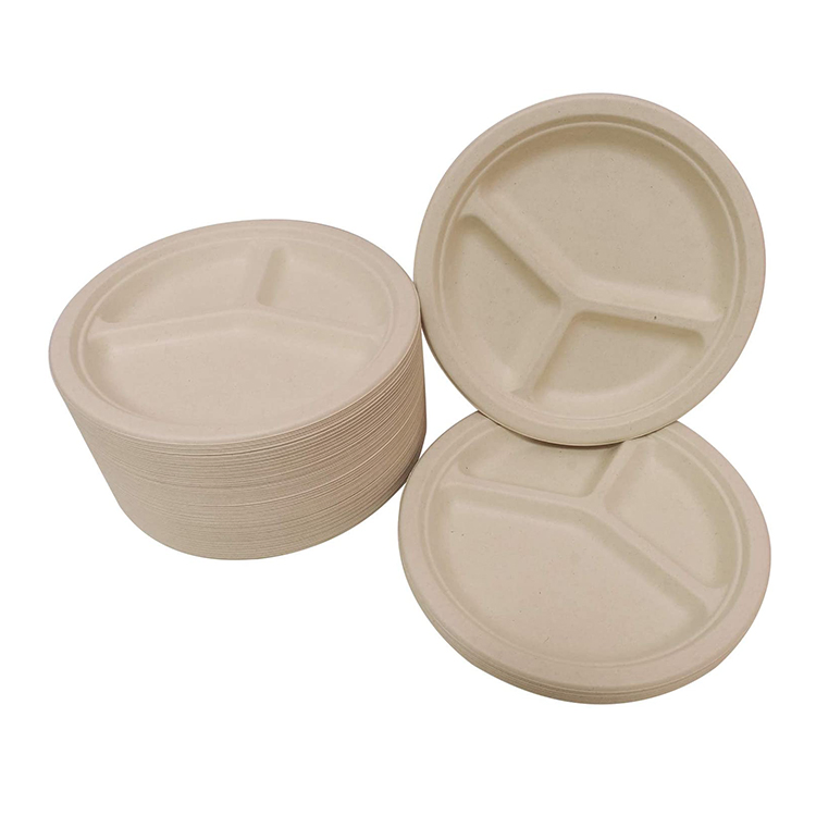 2022 Eco-Friendly Disposable Plate Bagasse Food Round Plate Takeaway Biodegradable Sugarcane Plate
