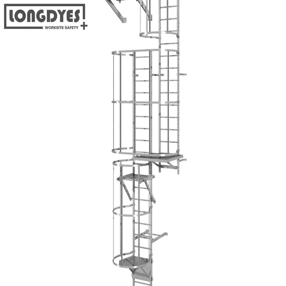 Tri-Arc Engineered Access Platforms Wall-Mount Aluminium Fixed Ladder