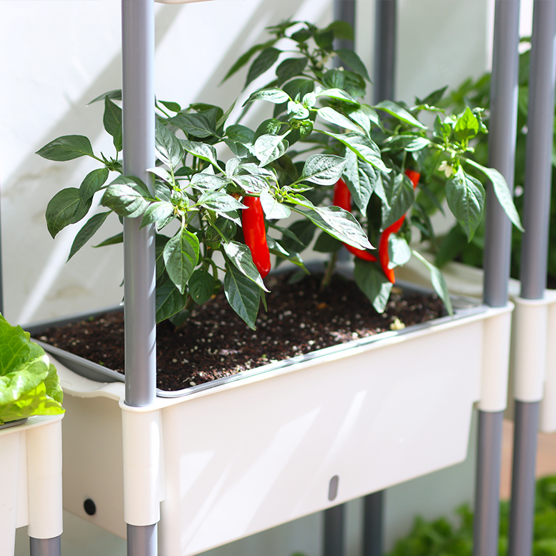 Горшки пластиковые с автополивом для цветов и овощей