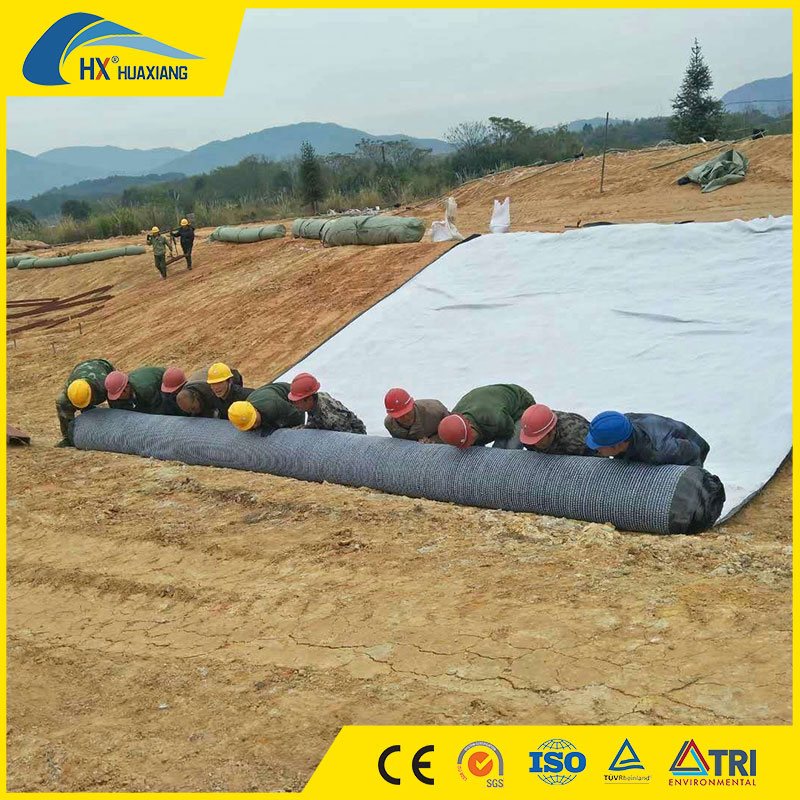 Bentonite Composite Waterproof Blanket Geosynthetic Clay Liner Bentonite Blanket Gcl for Landfill