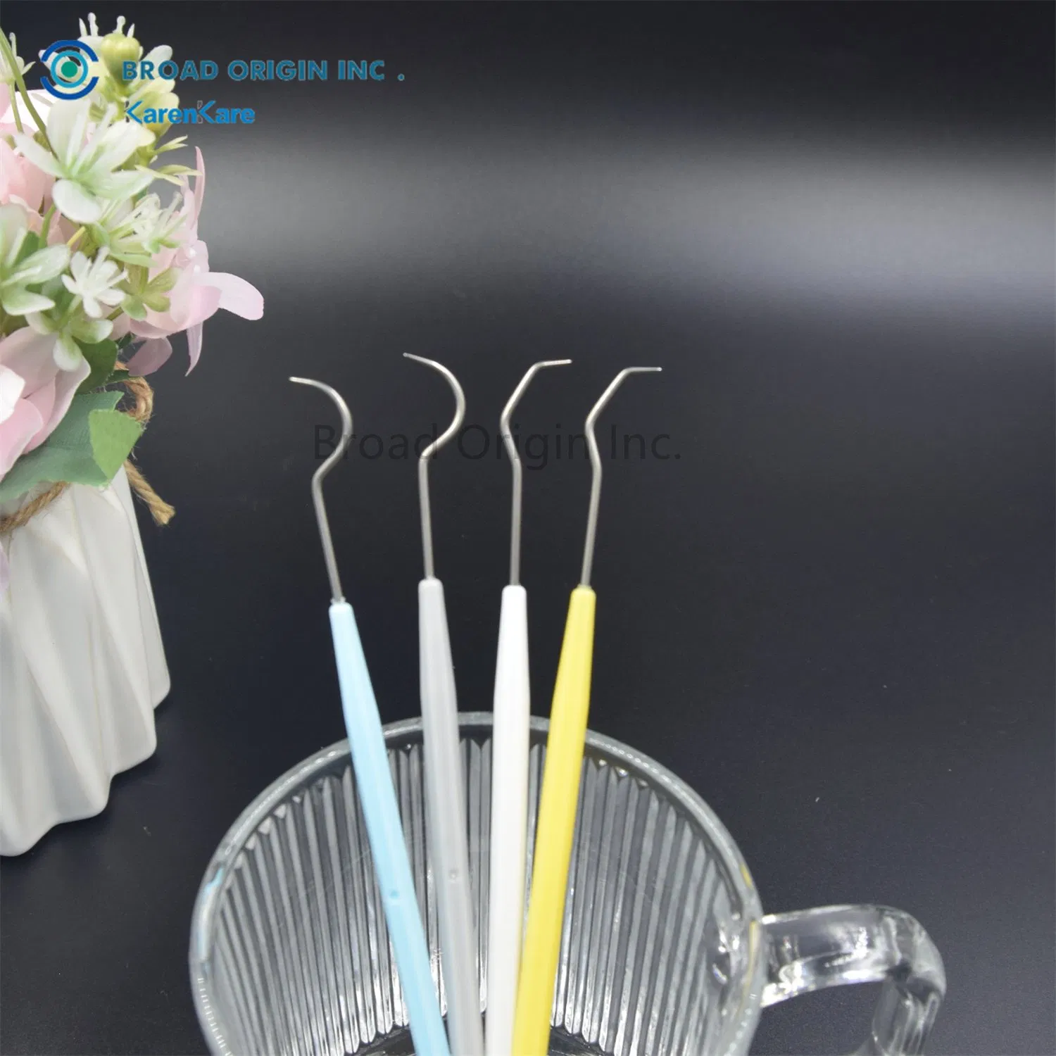 Dental Instruments Kit Stainless Steel Tarter Remover Dental Pick Hygiene Set