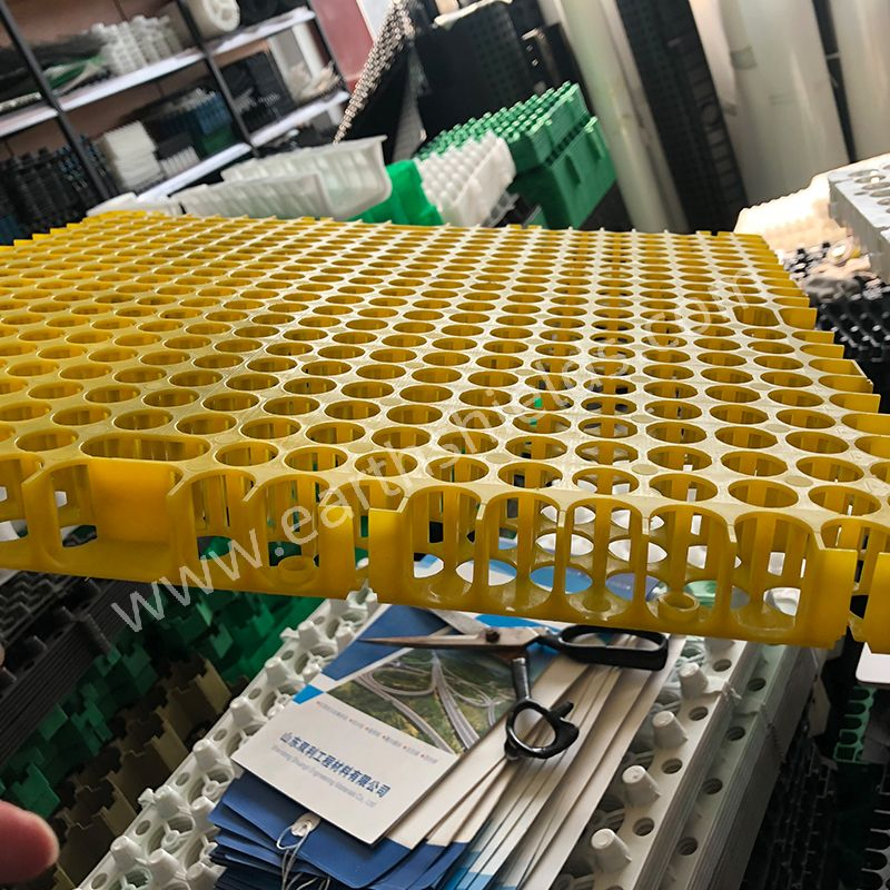 Dajin Factory HDPE Drainage Board Drainage Cell in Pakistan