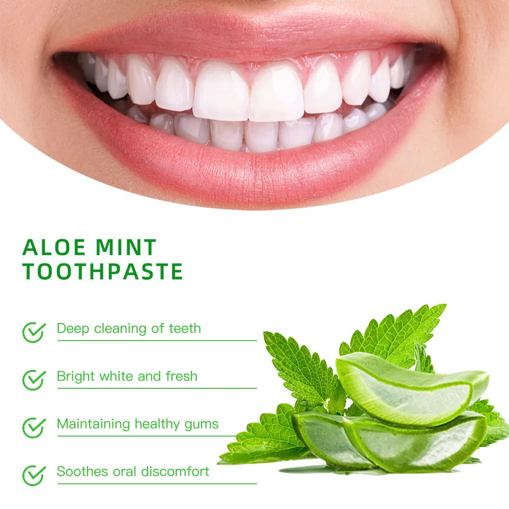 Custom Mint Flavor Breath Refresh Toothpaste for Optimal Teeth Cleaning