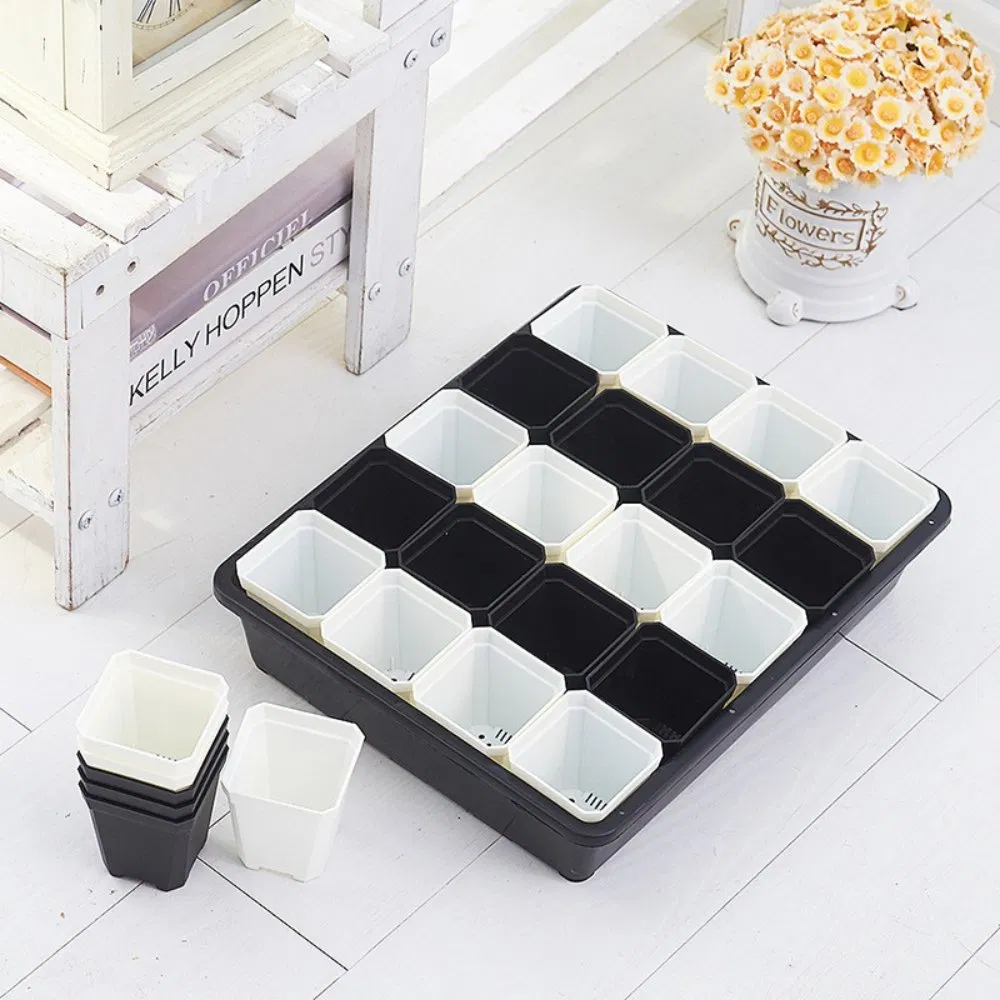 Мини-парник для рассады с прозрачной крышкой