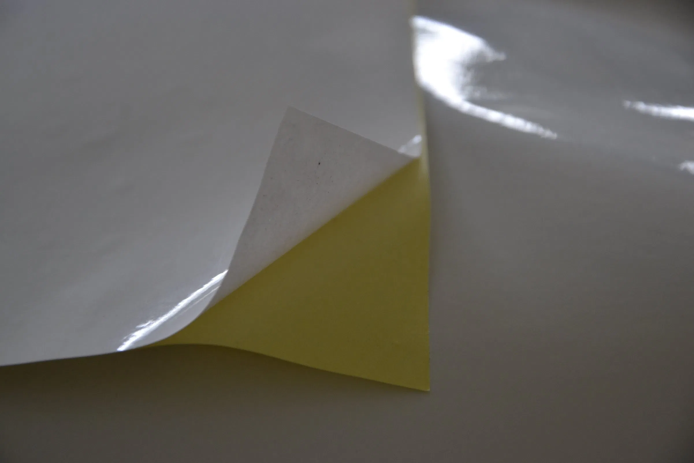 Self Adhesive Sticker Paper 20′ *30′ Size by Sheet