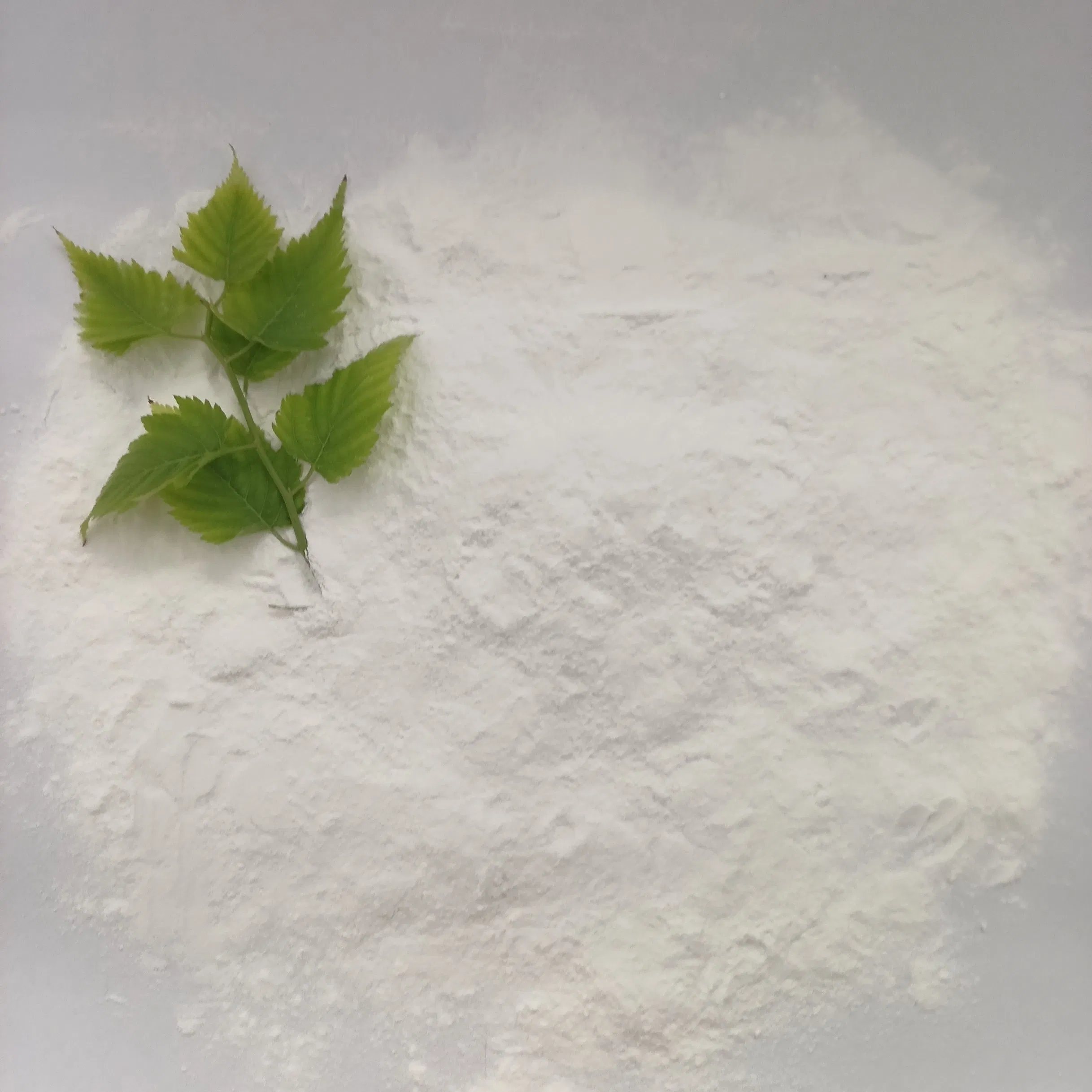 Low Ash Content Hydroxypropyl Methyl Cellulose HPMC Powder