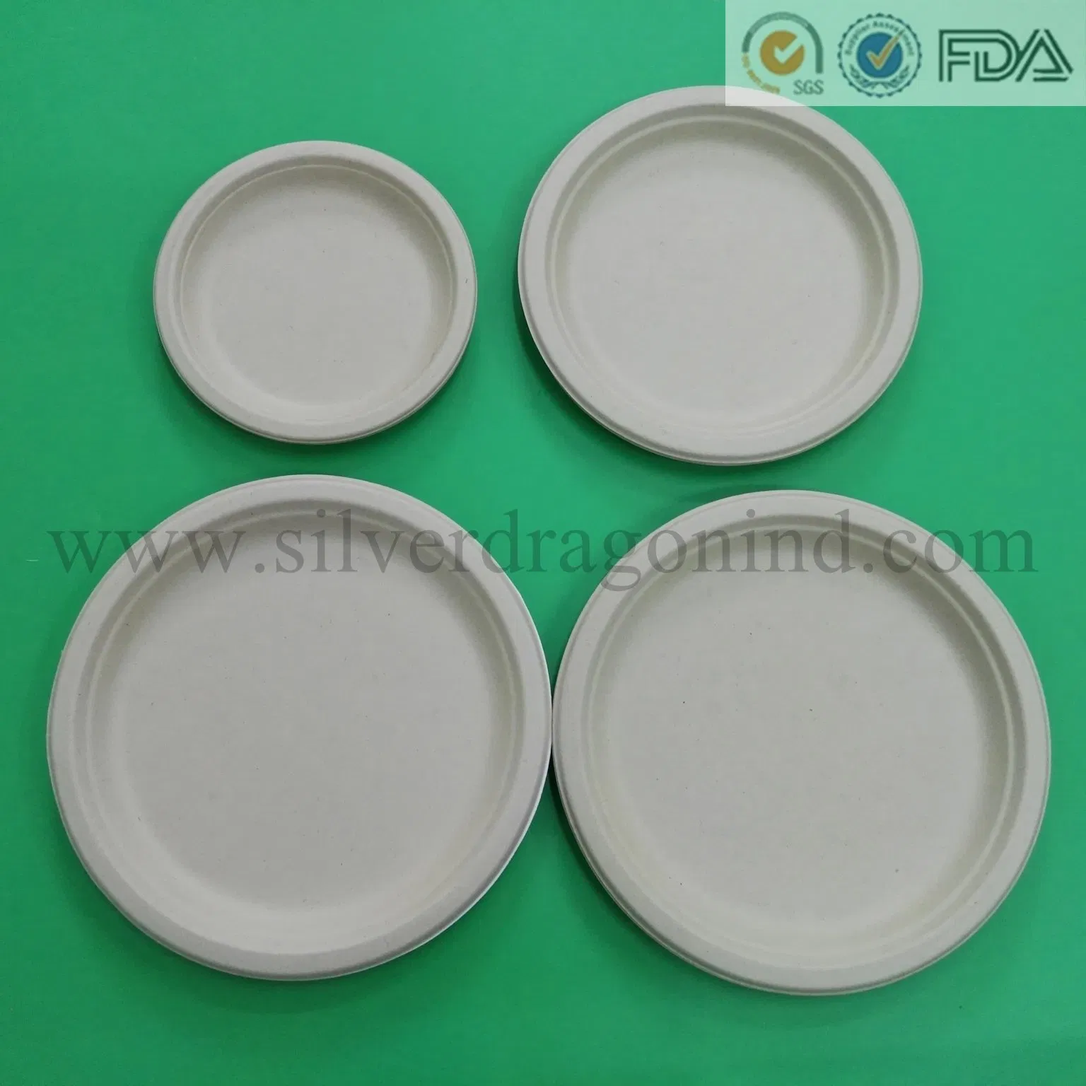 Sugar Cane Pulp Square Plate