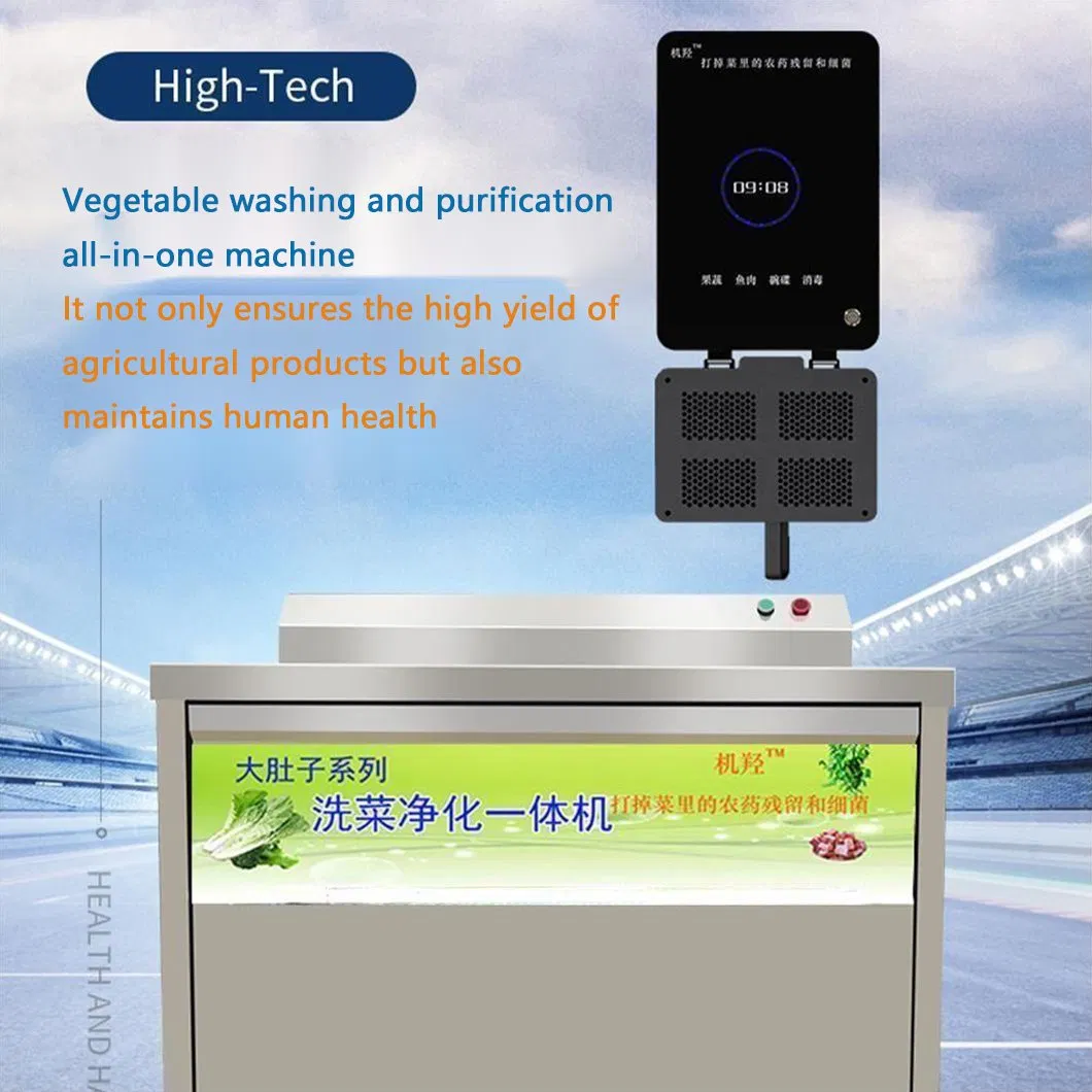 Commercial Stainless Steel Food Vegetable Washing Machine Large Capacity Washer