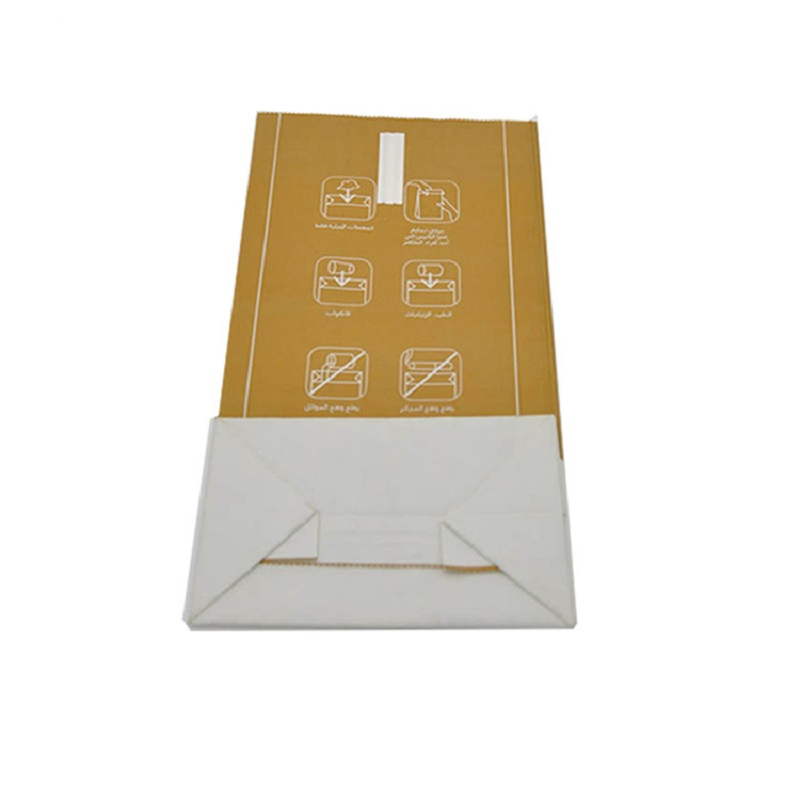 Customized Printing Disposable Sickness Paper Bag Airline Paper Air Sickness Bag