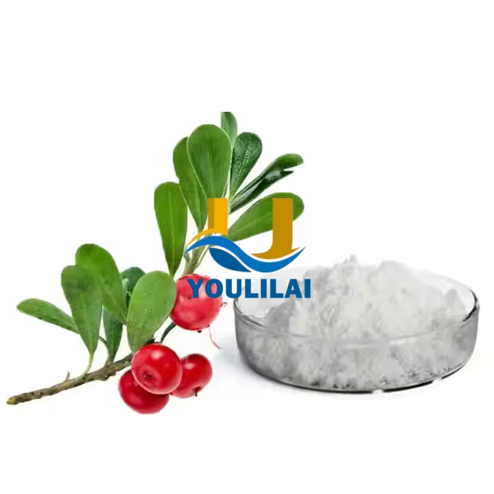 Alpha Arbutin Powder CAS 84380-01-8 Cosmetic Pure 99% Alpha-Arbutin Extract Skin Whitening