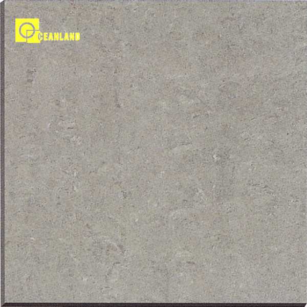 600*600mm Matt Surface Flooring Ceramic Tile with New Design