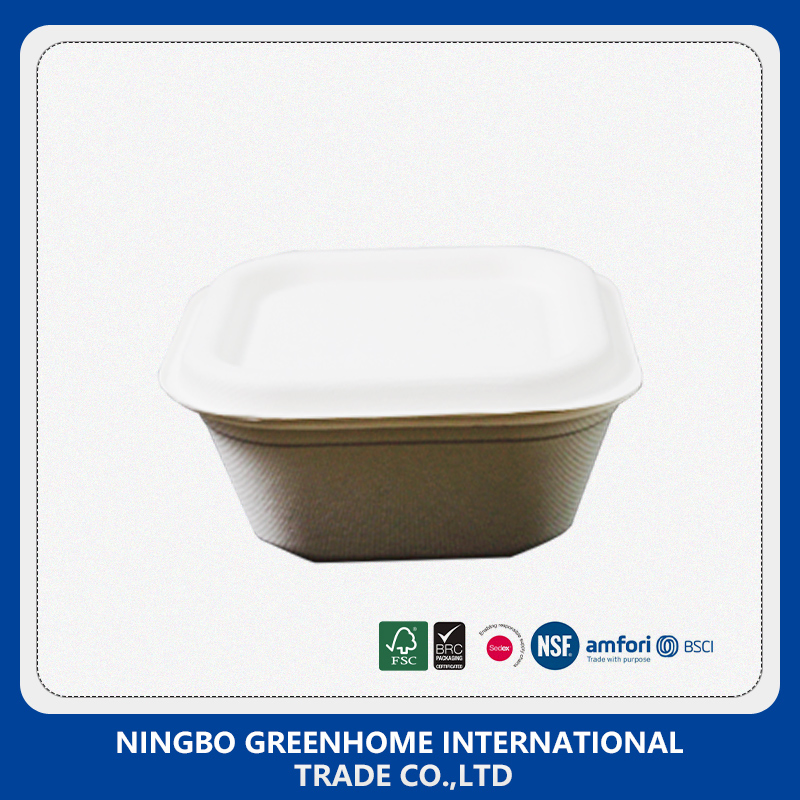 Biodegradable Compostable Dinner Set Sugarcane Bagasse Lunch Box