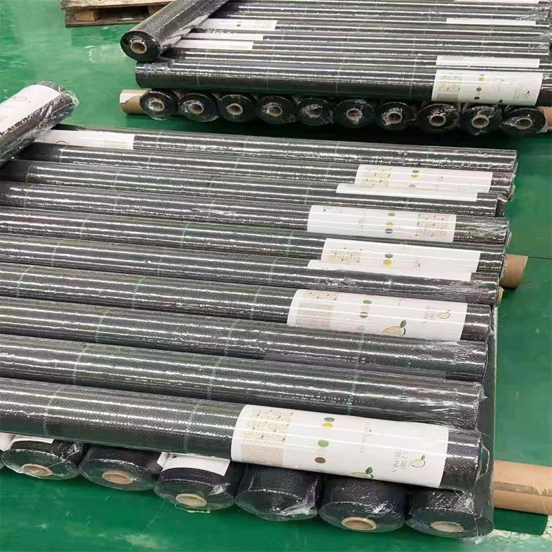 PP Woven Membrane PE Ground Cover Mesh Weed Mat Roll Anti Grass