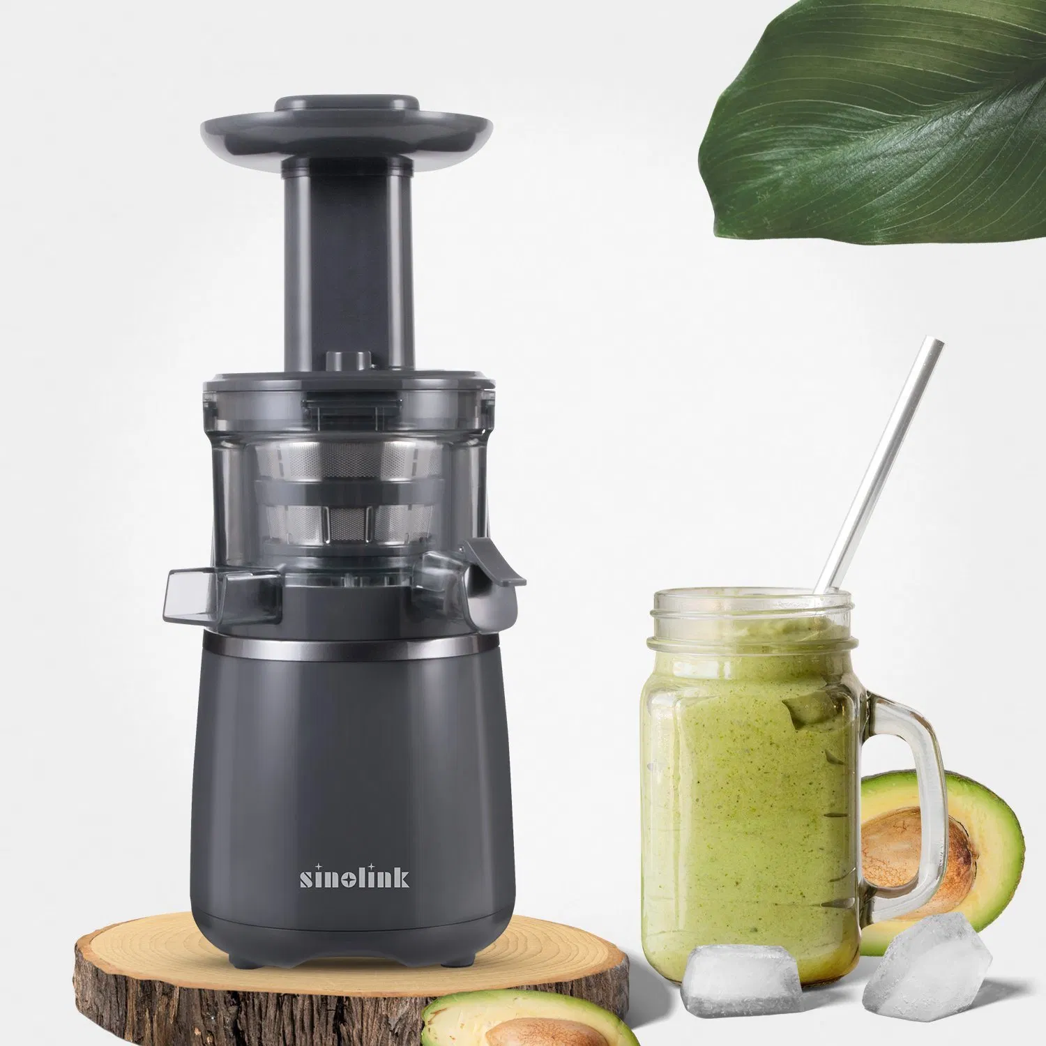 Single Grade CB Approved Factory Outlet Hot Sale Wholesale High Satisfaction Slow Juicer
