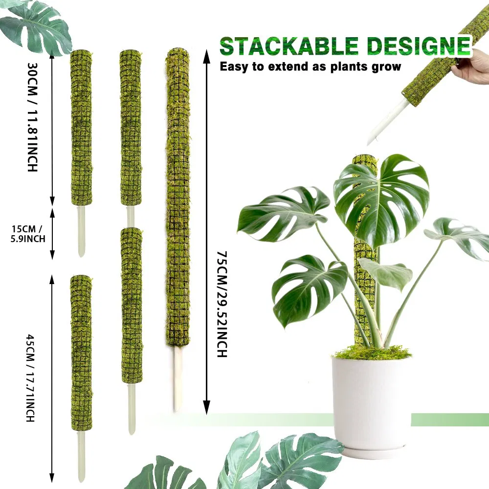 Aerial Root-Supporting Stackable Green Moss Pole for Climbing Ferns Development