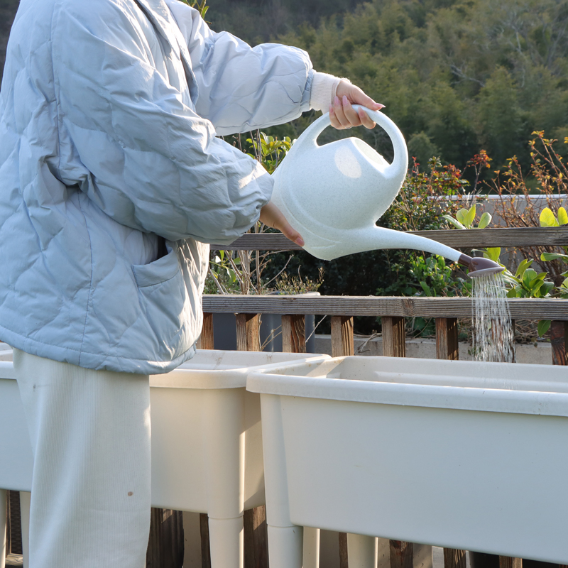 Gardening Supplies Modern Plastic Watering Can Sprayer 3.5L with Handles