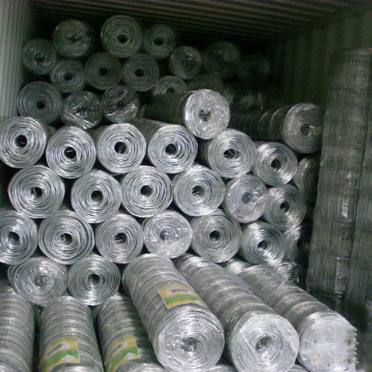 Quality Chice Strengthened Galvanized Cow Fence