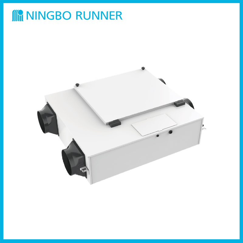 Sterilization Fresh Air Purification Machine