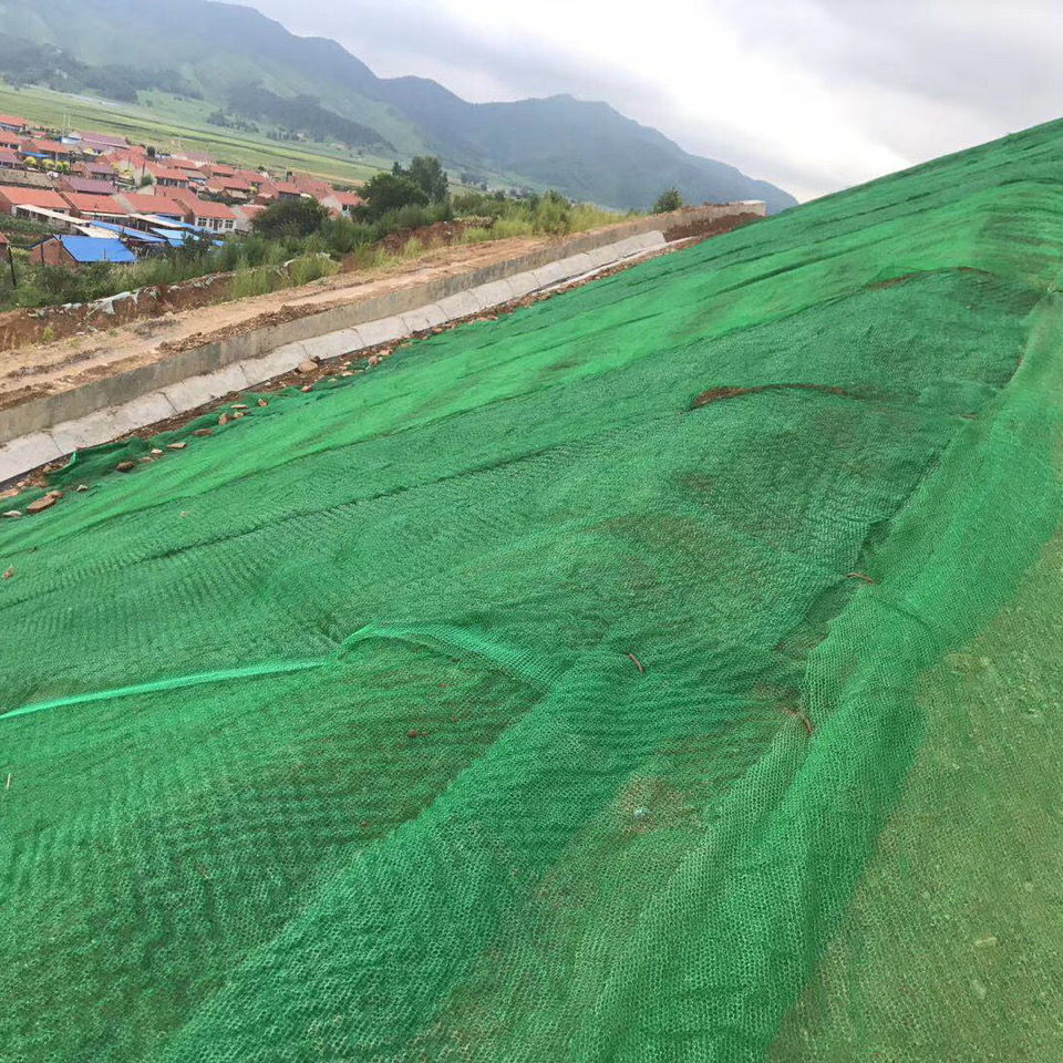 Composite Vegetation Net Heavy-Duty for Slope Protection Greening Quality Assurance