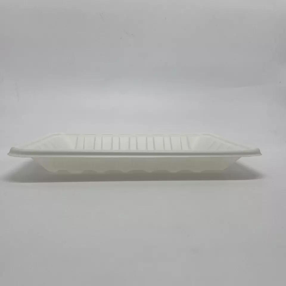 Sustainable Compostable PLA Food Trays for Eco-Friendly Packaging