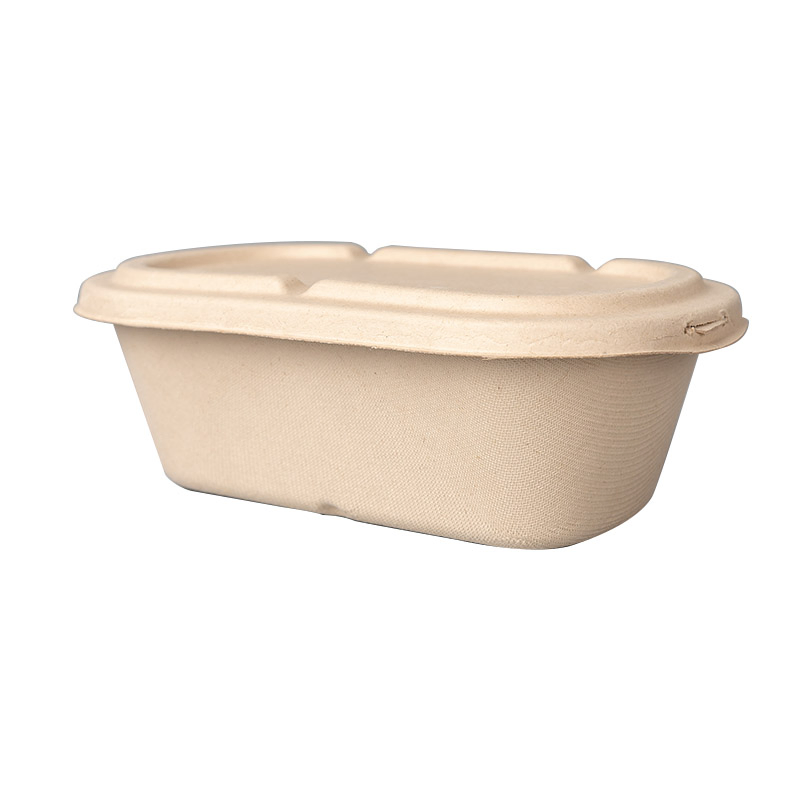 Compostable Children Fruit Food Container Wheat Straw to Go Lunch Rento Box