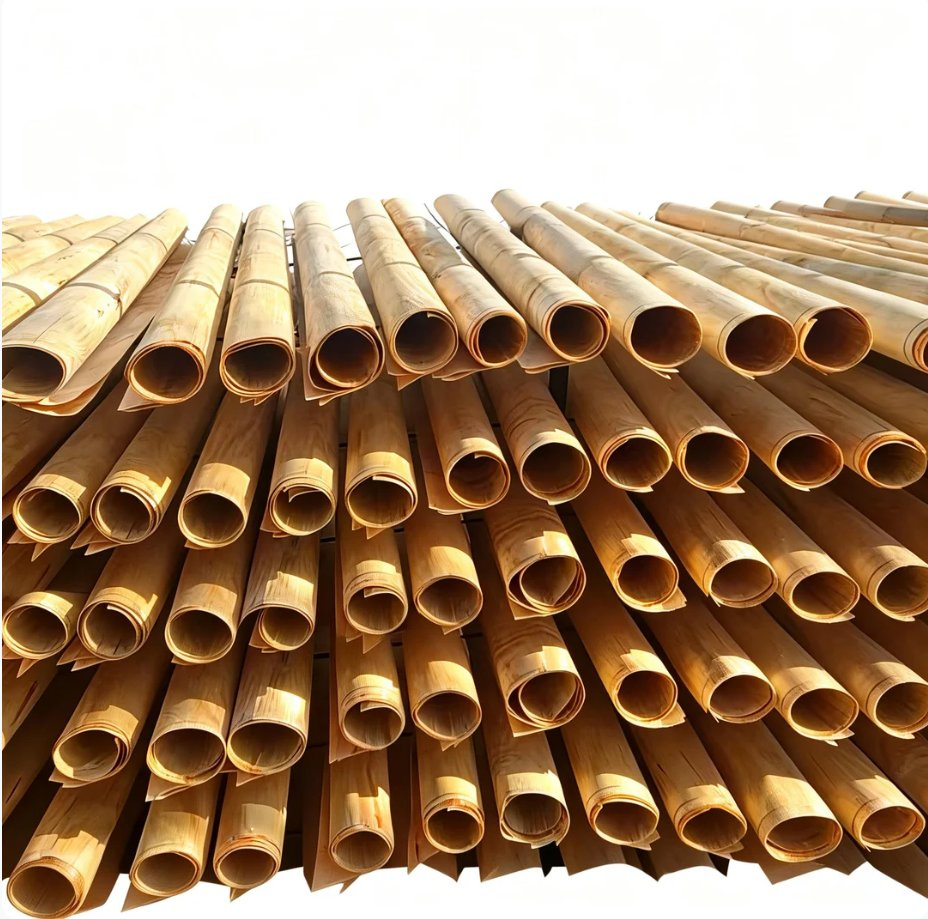 Natural Paulownia Wood Veneer 0.5mm Wood Plywood Veneer