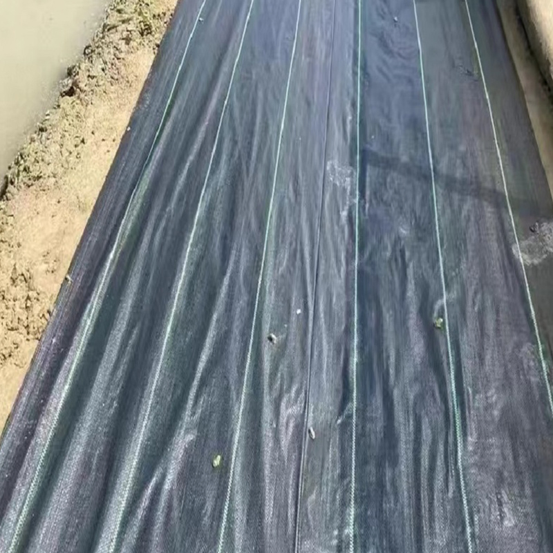 Custom-Size Anti-Grass PE Ground Cover Mesh Weed Mat for Garden Use