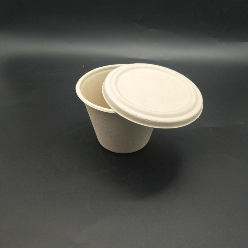 Biodegradable Sugarcane Bagasse 8oz Cup