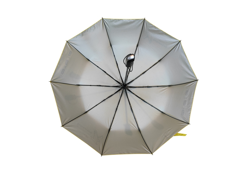 Compact 3-Fold Auto Open Umbrella with 10 Ribs for UV Protection (FU-31023BAF)