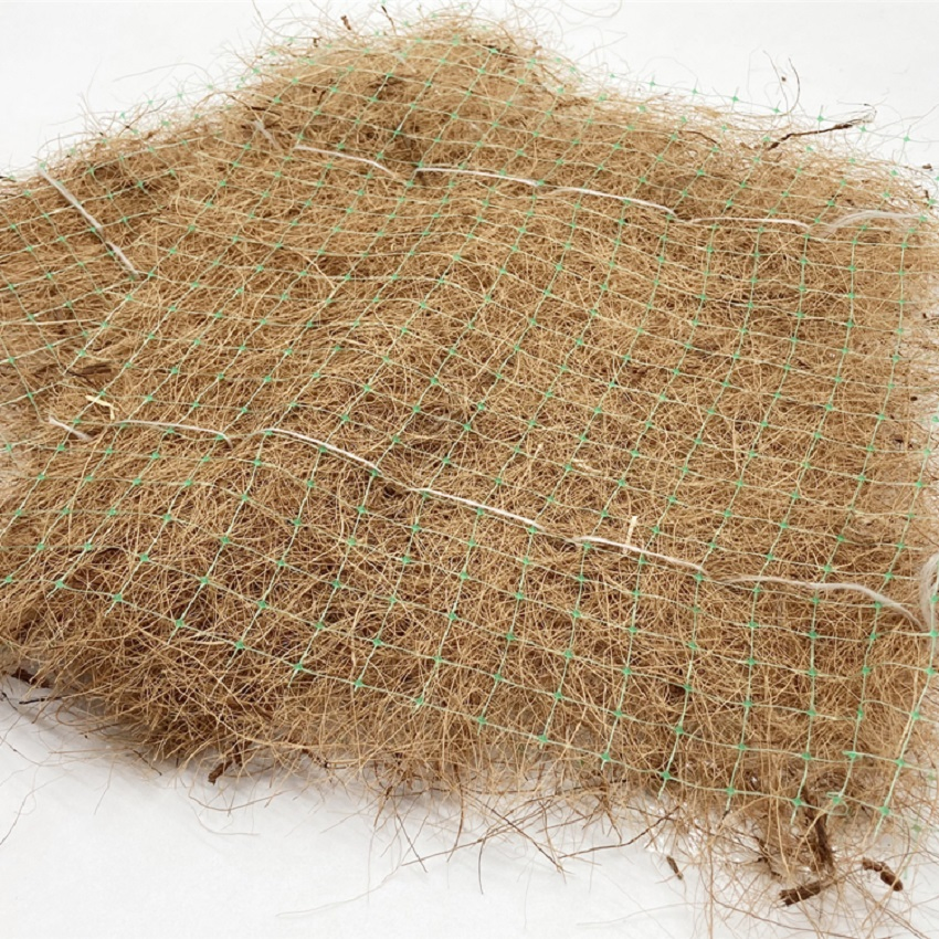Tr 200GSM-1000GSM Customized Size Coconut/Coco Coir/Fiber Blanket/Mat for Slope Protection/Ecological Restoration/Soil Management