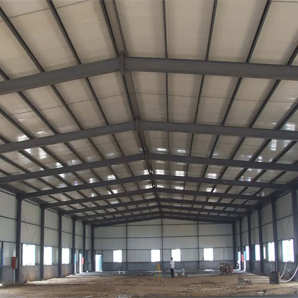 Professional Manufacturer Prefabricated Steel Structure Warehouse