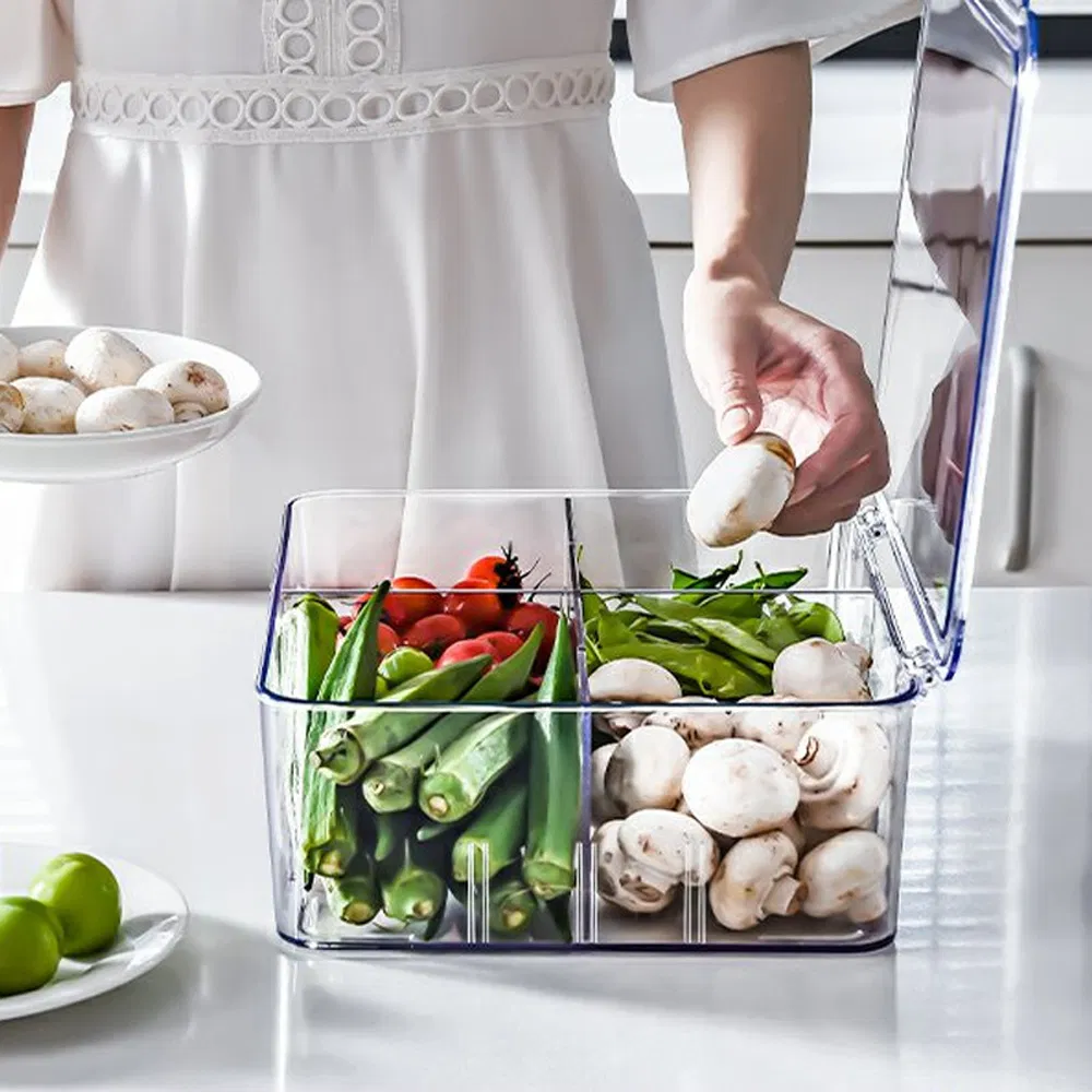Kitchen Pet Transparent Compartment Refrigerator Storage Box Fresh-Keeping Box