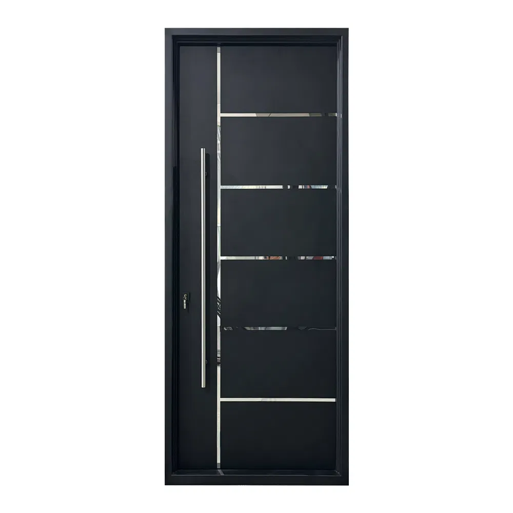 Socool Modern Style Home Metal Door