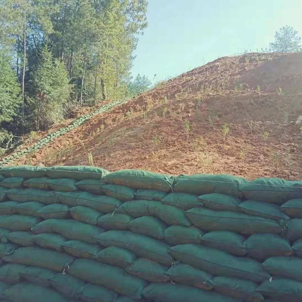 High Strength Geobag Sand Bag for Riverbank Erosion Control, Coastal Protection and Slope Reinforcement Projects From China Manufacturer