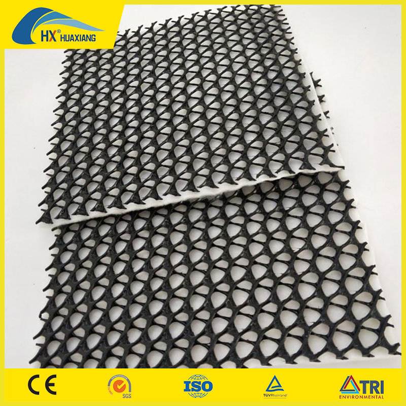 Geosynthetics HDPE Geonet 3D Composite Net Price for Drainage