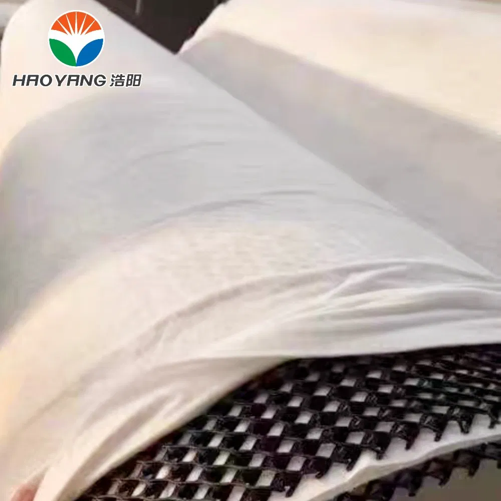 Fast Construction and Installation, HDPE Composite Geonet Be Used in Landfill Drainage