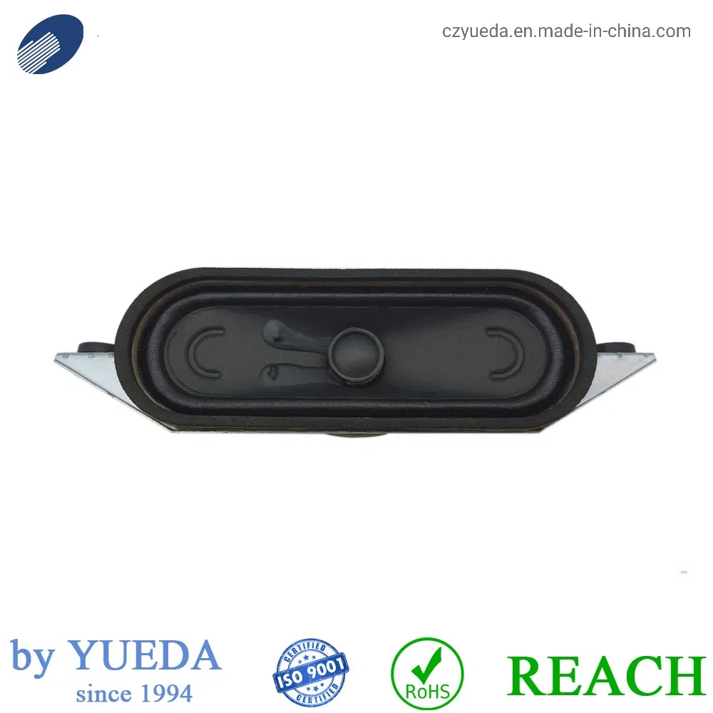 10W TV Raw Speaker Component La/Ra